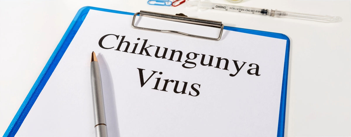 Chikungunya: conoscere il virus e proteggersi dalle zanzare