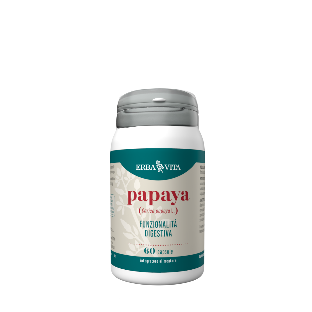 Erba vita papaya