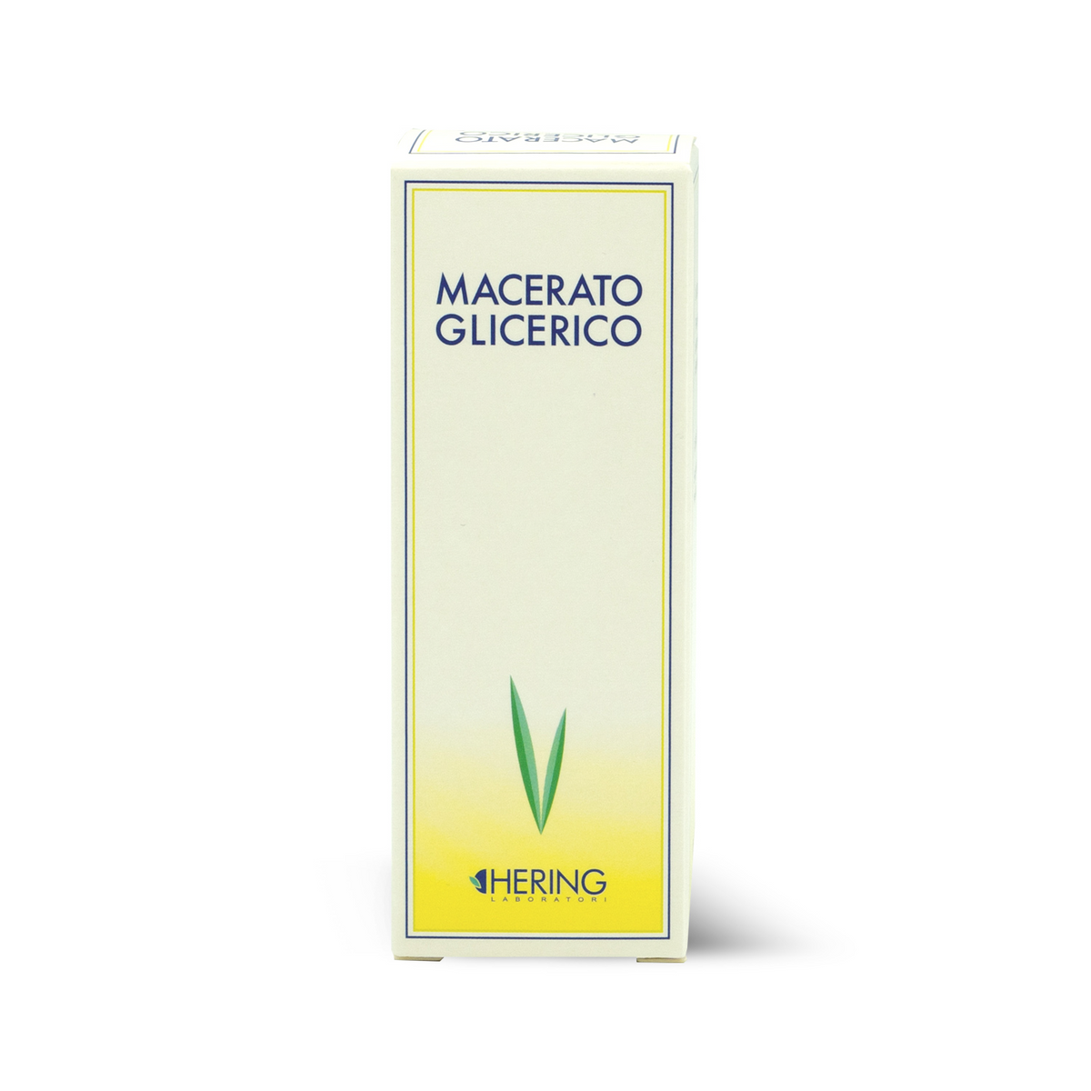 Hering Olea Europea germogli