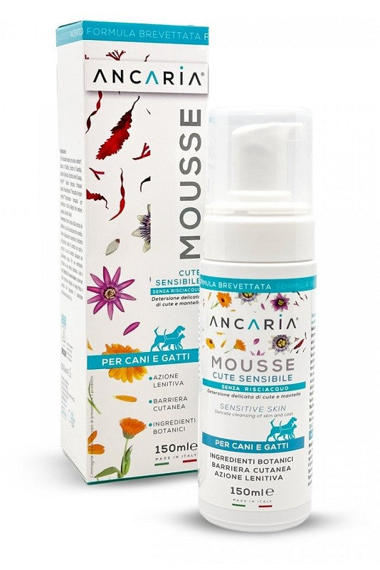 Ancaria mousse