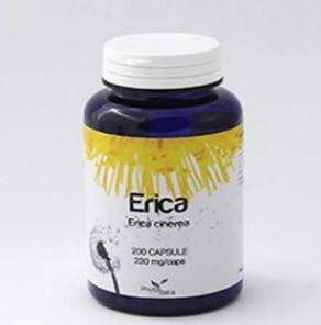 Erica 60 Capsule