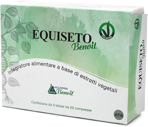 Equiseto Benoit