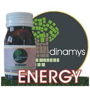 Dinamys Energy 350 Tavolette Tonico Energetico
