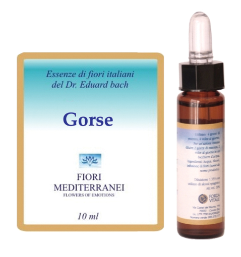 Forza Vitale Italia Fiori Mediterranei Gorse gocce