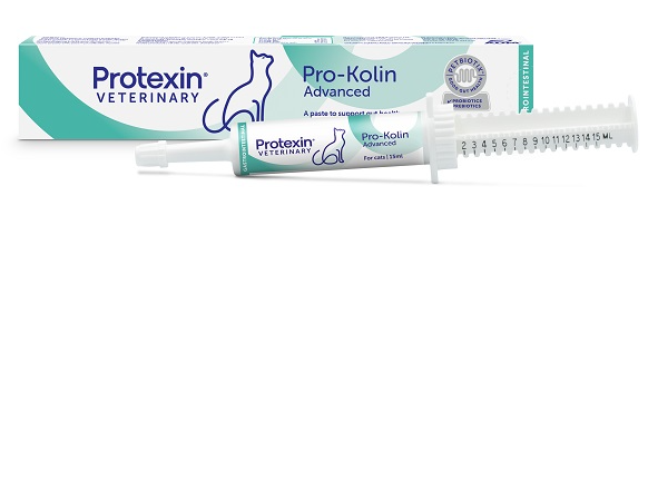 Prokolin advanced gatto
