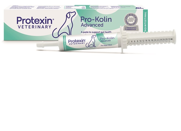 Prokolin advanced cane