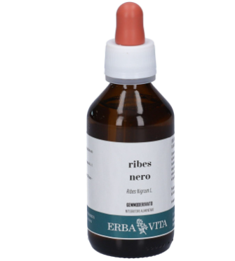 Erba vita Ribes nero gemmoderivato