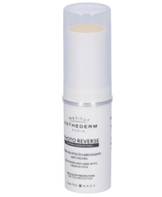 Institut Esthederm Photo Reverse Stick