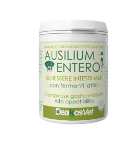 Ausilium Entero