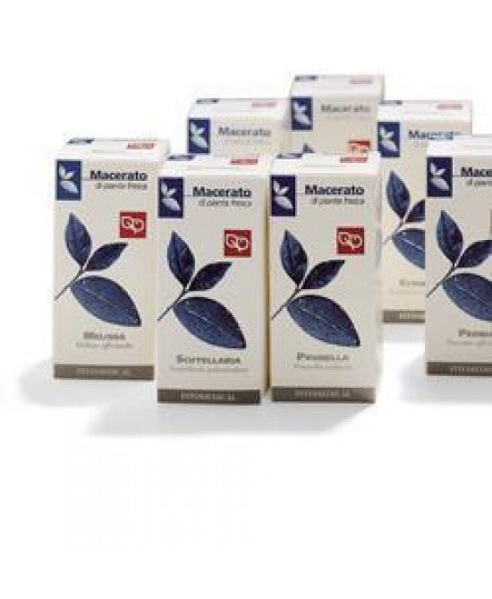 Betulla 50ml Tintura Madre