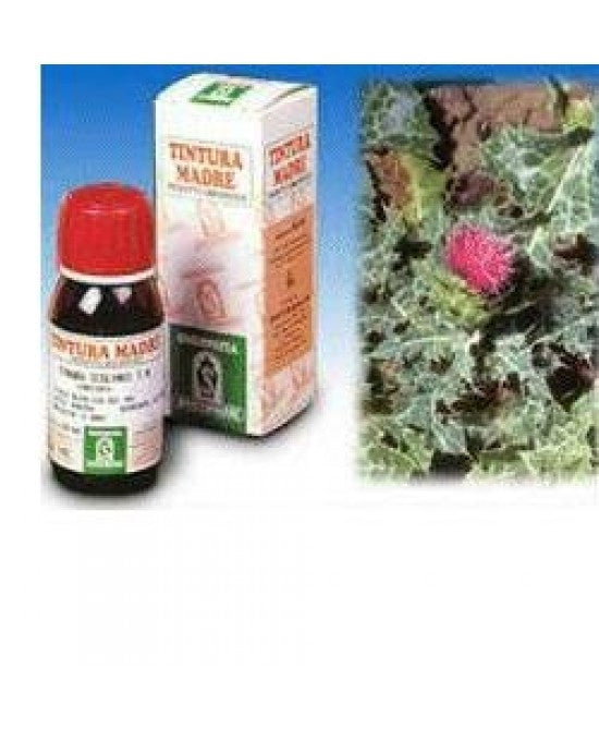 Cardo Mariano 6 50ml Tintura Madre