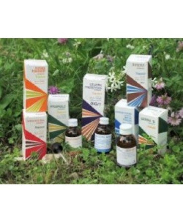 Raemil Propoli Olio 25ml