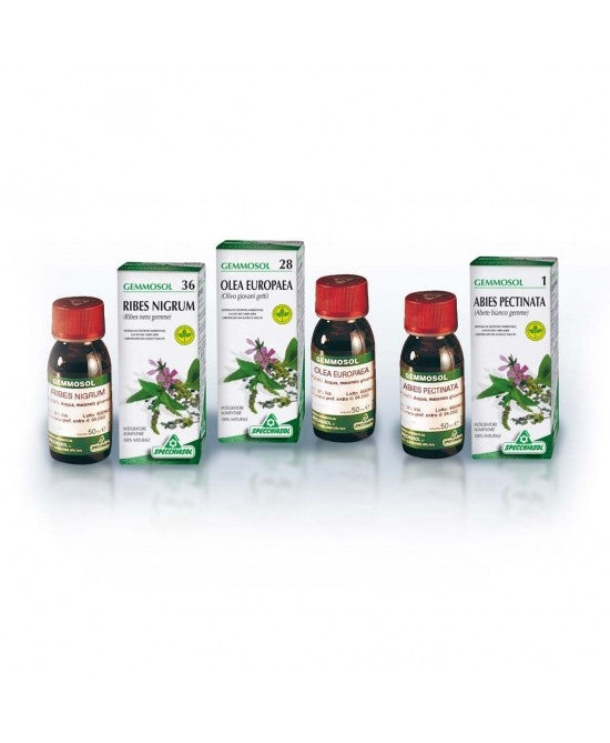 Specchiasol Gemmosol 36 Al Ribes Nero 50ml