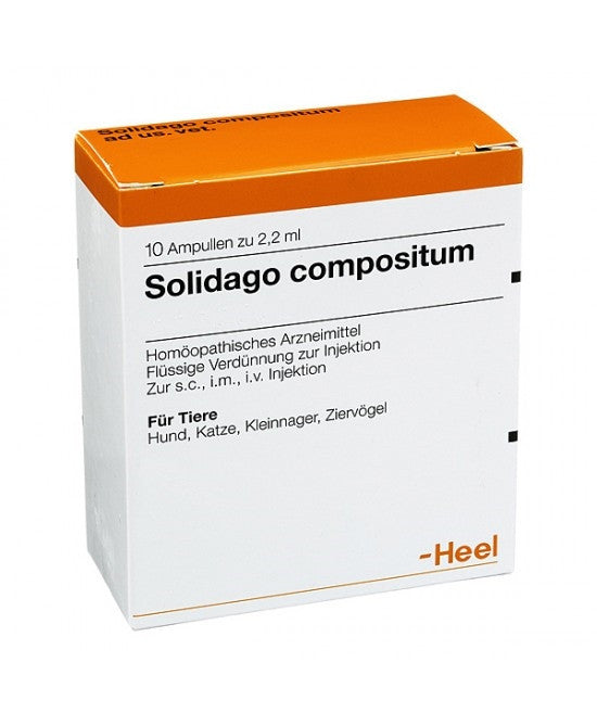 Guna Solidago Compositum 10 Fiale Heel