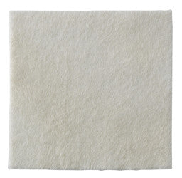 Biatain Alginate Ag 10x10 Cm 10 Pezzi