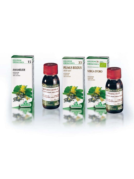 Boldo 33 50ml Tintura Madre