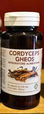 Cordyceps Gheos 90 Capsule