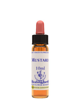 Natur Mustard Essenza 10ml