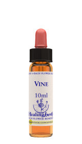 Vine Essenza 10ml