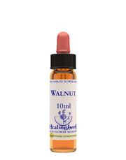 Natur Walnut Essenza 10ml