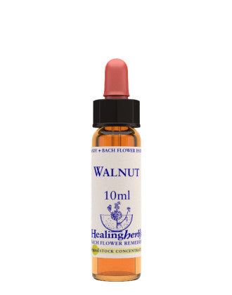 Natur Walnut Essenza 10ml
