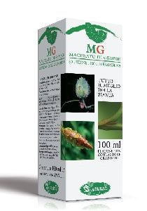 Sangalli Ribes 100ml Macerato Glicerico