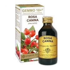 Dr Giorgini Rosa Canina  Analcolico Gemmo 10+ 100 Ml