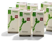 Fitomedical Mirtillo Nero 100ml Mg