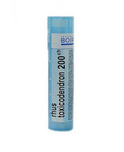 Boiron Rhus Toxicodendron 200ch Globuli