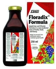 Floradix 250 Ml 6 Pezzi