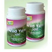Wild Yam 300 20% 50 Capsule