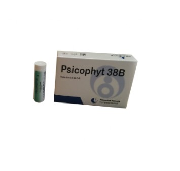 Psicophyt Remedy 38b 4 Tubi 1,2g