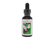 Natur Libellula Dragonfly Essenza 30ml