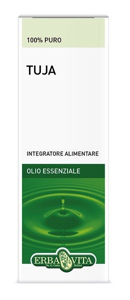 Erba vita Tuja olio essenziale