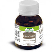 Renaco Italia Chagafungus 60 capsule integratore alimentare