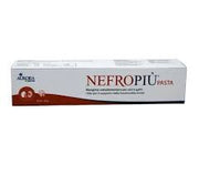 Aurora Licensing Nefropiù Pasta 30g