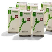 Fitomedical Lentisco macerato glicerinato 200ml