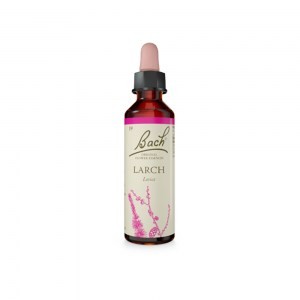 Schwabe pharma Bach larch original gocce 20ml