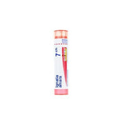 Boiron Ignatia Amara 7ch Granuli