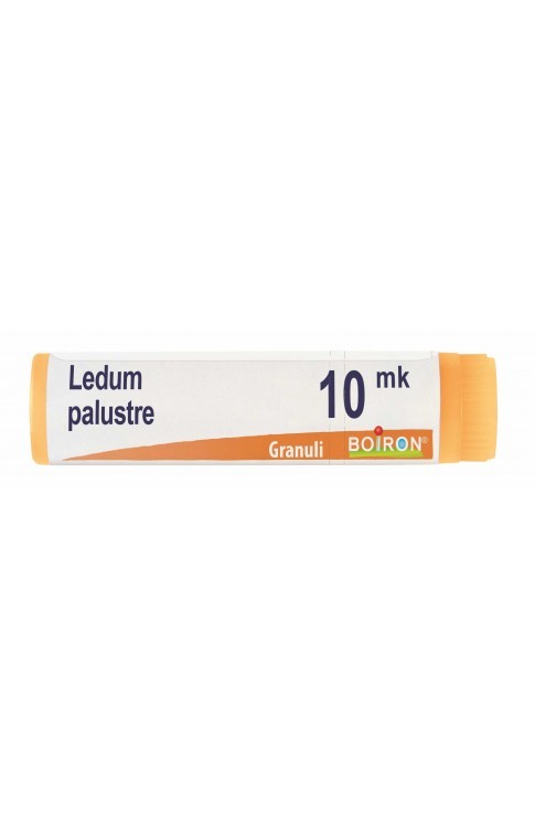 Boiron Ledum Palustre Xmk Globuli