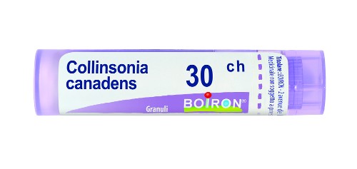 Boiron Collinsonia Canadensis 30ch Granuli