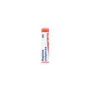 Boiron Magnesia Phosphorica Mk Globuli