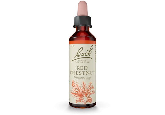Schwabe pharma Red chestnut bach original 20ml