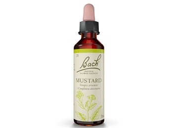 Schwabe pharma Mustard bach original 20ml