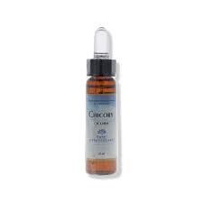 Forza Vitale Chicory fiori mediterranei gocce 10ml