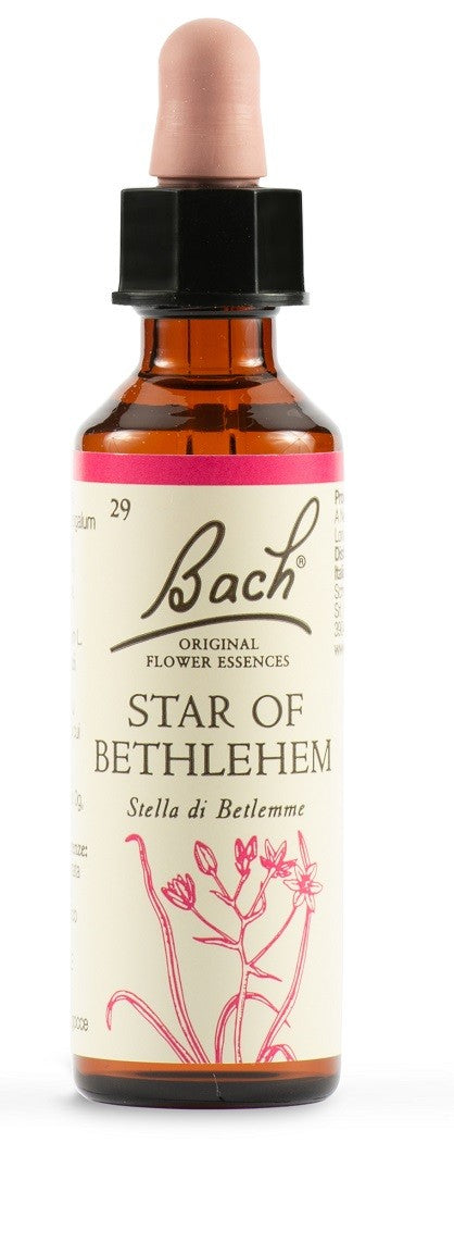 Schwabe pharma Star of Bethelehem gocce 10 ml