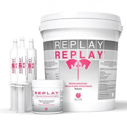 Acme Replay polvere per cavalli 800 g