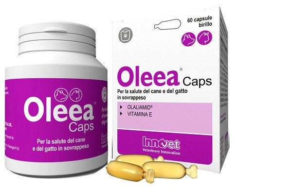 Innovet Italia Oleea Caps 60 Capsule per cani e gatti