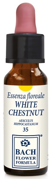 Erba Vita Italia White Chestnut Original 10 Ml