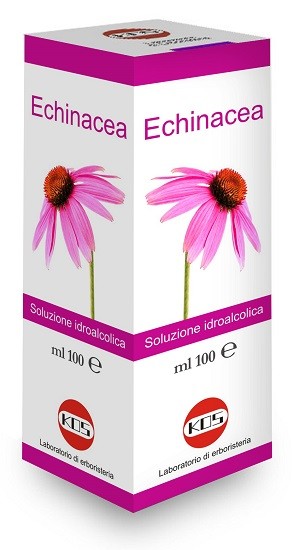 Kos Echinacea Soluzione Idroalcolica Pianta Fresca 100 Ml